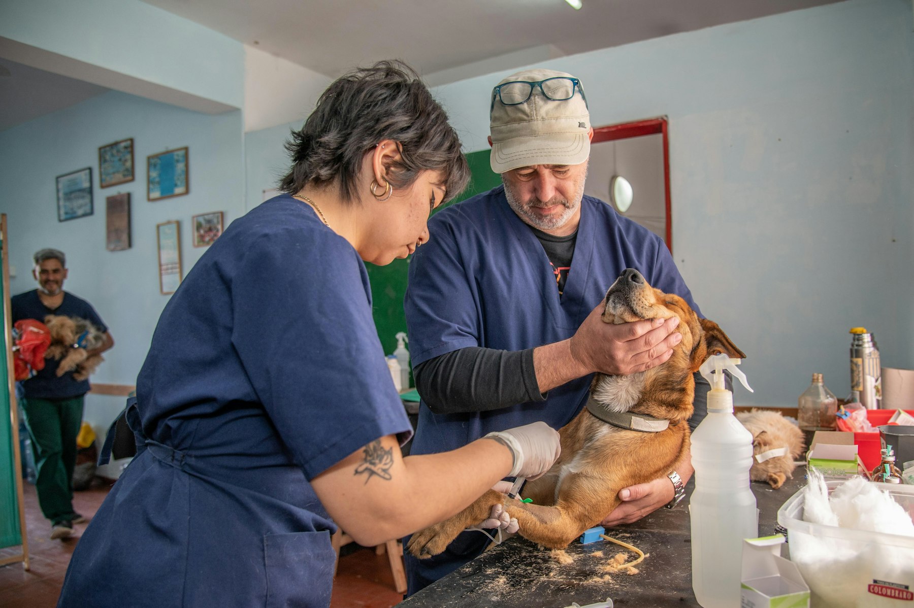 We Always Focus On Help Your Pet Have A Better Life & Health Your Pets Nutritional Health is Very Important & Our Priority Online Consultation.